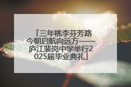 三年桃李芬芳路 今朝启航向远方——庐江裴岗中学举行2025届毕业典礼