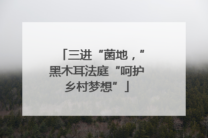 三进“菌地，”黑木耳法庭“呵护乡村梦想”