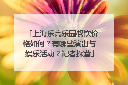 上海乐高乐园餐饮价格如何？有哪些演出与娱乐活动？记者探营