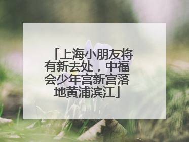 上海小朋友将有新去处，中福会少年宫新宫落地黄浦滨江