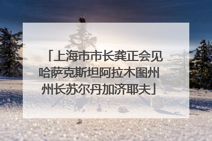 上海市市长龚正会见哈萨克斯坦阿拉木图州州长苏尔丹加济耶夫