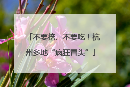 不要挖、不要吃！杭州多地“疯狂冒头”