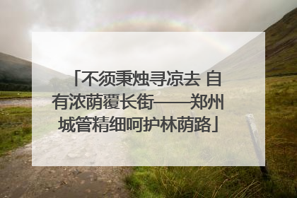 不须秉烛寻凉去 自有浓荫覆长街——郑州城管精细呵护林荫路