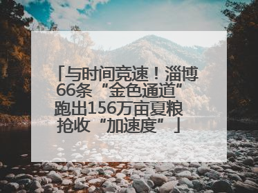 与时间竞速！淄博66条“金色通道”跑出156万亩夏粮抢收“加速度”