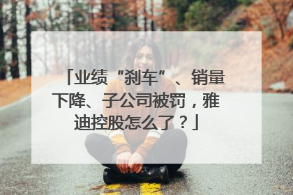 业绩“刹车”、销量下降、子公司被罚，雅迪控股怎么了？