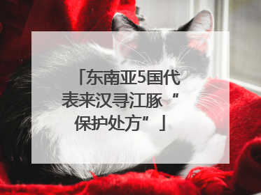 东南亚5国代表来汉寻江豚“保护处方”