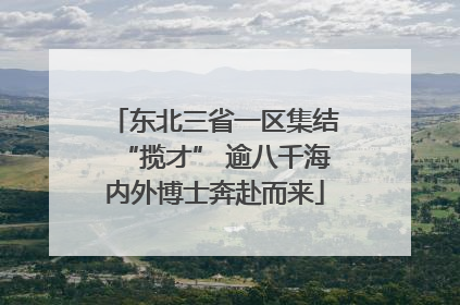 东北三省一区集结“揽才” 逾八千海内外博士奔赴而来