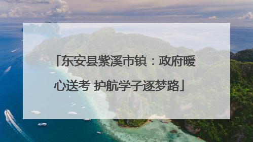 东安县紫溪市镇：政府暖心送考 护航学子逐梦路