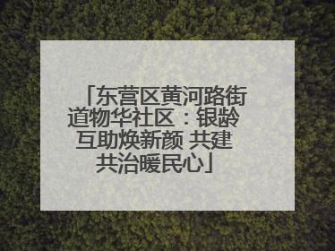 东营区黄河路街道物华社区：银龄互助焕新颜 共建共治暖民心
