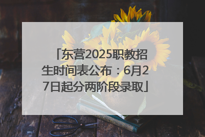 东营2025职教招生时间表公布：6月27日起分两阶段录取