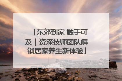 东郊到家 触手可及｜资深技师团队解锁居家养生新体验