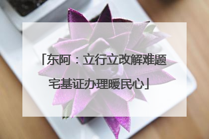 东阿：立行立改解难题 宅基证办理暖民心