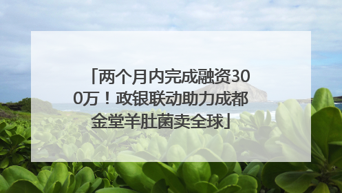 两个月内完成融资300万！政银联动助力成都金堂羊肚菌卖全球