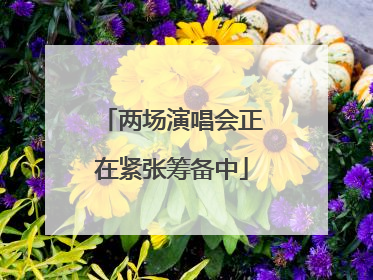 两场演唱会正在紧张筹备中