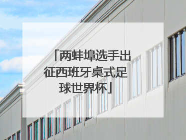 两蚌埠选手出征西班牙桌式足球世界杯