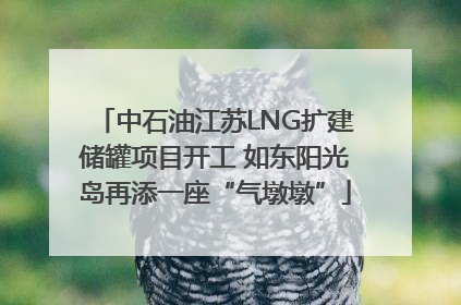中石油江苏LNG扩建储罐项目开工 如东阳光岛再添一座“气墩墩”