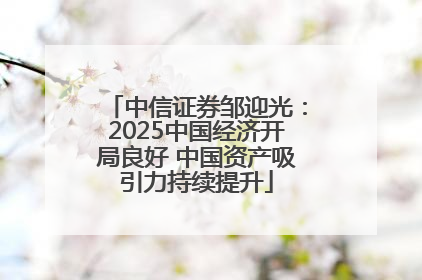中信证券邹迎光：2025中国经济开局良好 中国资产吸引力持续提升