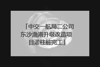 中交一航局二公司东沙渔港升级改造项目灌柱桩完工