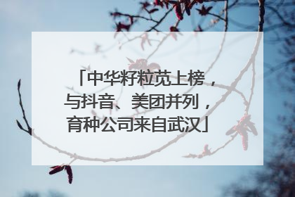 中华籽粒苋上榜，与抖音、美团并列，育种公司来自武汉