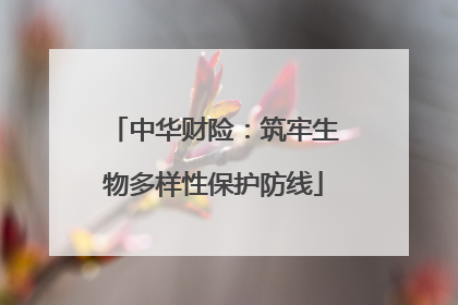 中华财险：筑牢生物多样性保护防线