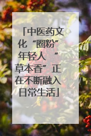中医药文化“圈粉”年轻人 “草本香”正在不断融入日常生活