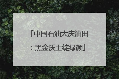 中国石油大庆油田：黑金沃土绽绿颜