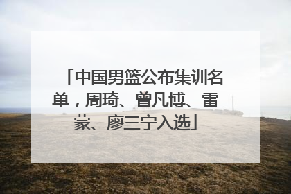 中国男篮公布集训名单，周琦、曾凡博、雷蒙、廖三宁入选