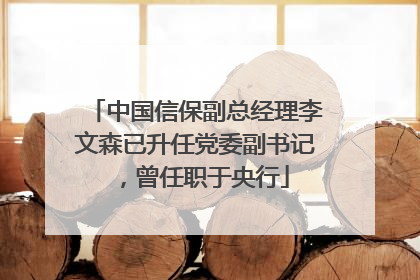 中国信保副总经理李文森已升任党委副书记，曾任职于央行