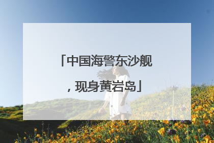 中国海警东沙舰，现身黄岩岛