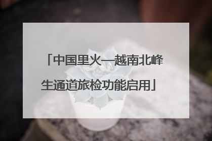 中国里火—越南北峰生通道旅检功能启用
