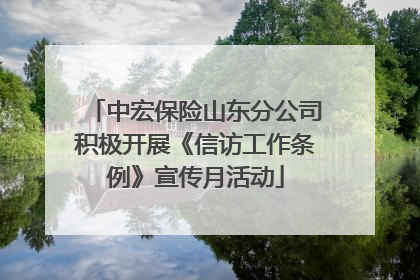 中宏保险山东分公司积极开展《信访工作条例》宣传月活动