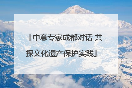 中意专家成都对话 共探文化遗产保护实践