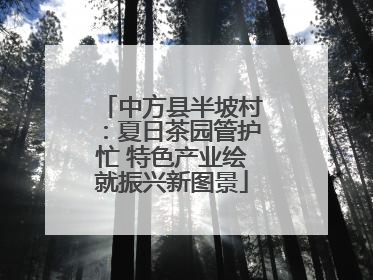 中方县半坡村：夏日茶园管护忙 特色产业绘就振兴新图景