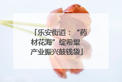 乐安街道：“药材花海”绽希望 产业振兴鼓钱袋