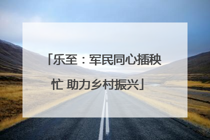 乐至：军民同心插秧忙 助力乡村振兴