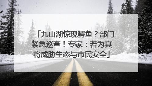 九山湖惊现鳄鱼？部门紧急巡查！专家：若为真将威胁生态与市民安全