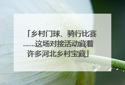 乡村门球、骑行比赛……这场对接活动藏着许多河北乡村宝藏