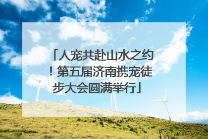 人宠共赴山水之约！第五届济南携宠徒步大会圆满举行