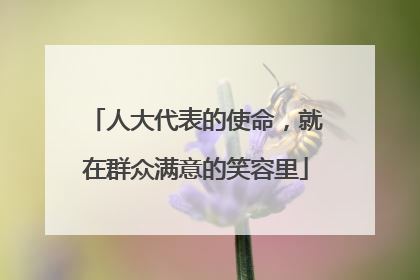 人大代表的使命，就在群众满意的笑容里