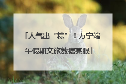 人气出“粽”！万宁端午假期文旅数据亮眼