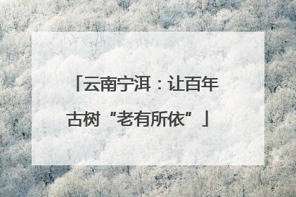 云南宁洱：让百年古树“老有所依”