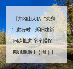 井冈山大桥“变身”进行时：拆旧建新同步推进 多举措保障汛期施工（图）