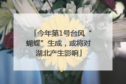 今年第1号台风“蝴蝶”生成，或将对湖北产生影响