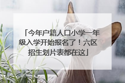 今年户籍人口小学一年级入学开始报名了！六区招生划片表都在这