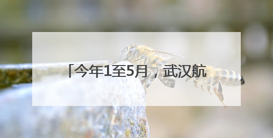 今年1至5月，武汉航空口岸免签入境外国人同比增长160.87%