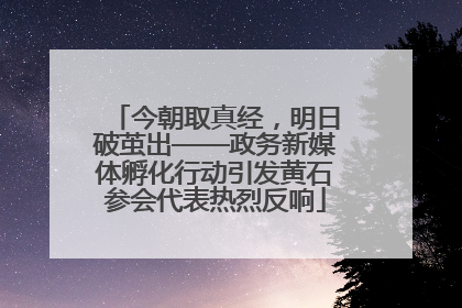 今朝取真经，明日破茧出——政务新媒体孵化行动引发黄石参会代表热烈反响