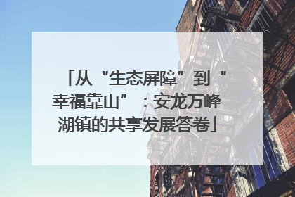 从“生态屏障”到“幸福靠山”：安龙万峰湖镇的共享发展答卷