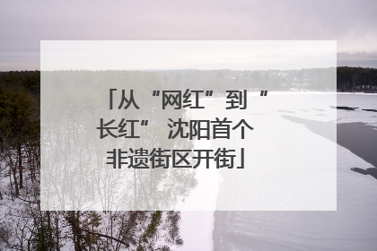从“网红”到“长红” 沈阳首个非遗街区开街