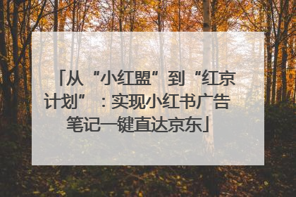 从“小红盟”到“红京计划”：实现小红书广告笔记一键直达京东
