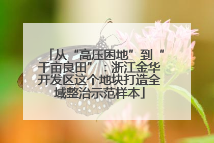 从“高压困地”到“千亩良田”：浙江金华开发区这个地块打造全域整治示范样本